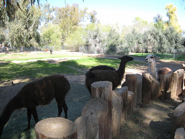 2nd Birthday at the zoo 39.JPG